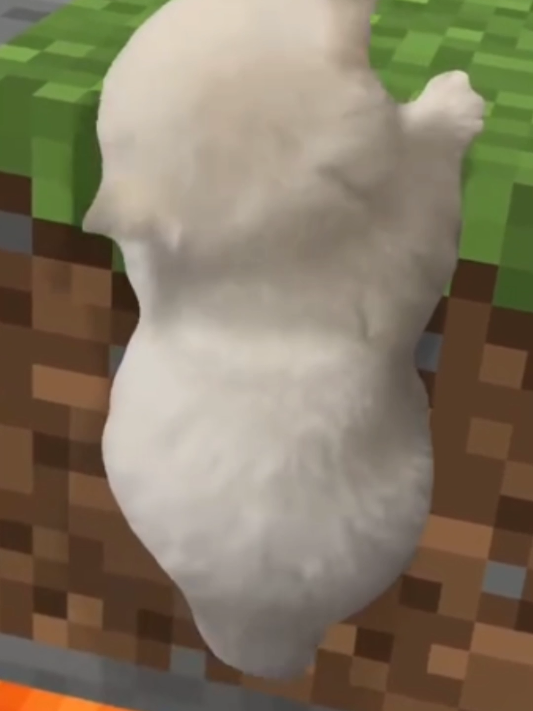 Hay drama, tensión, sorpresa, angustia y gatito... hay like. #Minecraft 