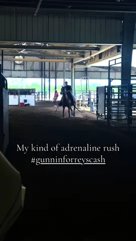 The tiny but mighty Rocket-man, he knows how to make an entrance🤫#foryoupageonly #playgun #dualrey #cuttinghorse #foryoupage #fyp #foryouonly #barrelhorse #rodeotok 