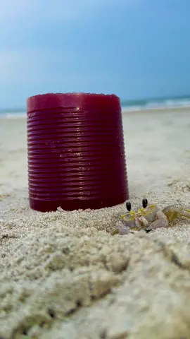 Do you think it’ll taste good on a crabby patty? #cranberry #cranberrysauce #Summer #crabbypatty #underthesea #beach #sand #sanddunes #wind #ocean #beachlife #summervibes #jerseyshore #crab #streetart #sandart #oceanspray #cranberries #jelly 
