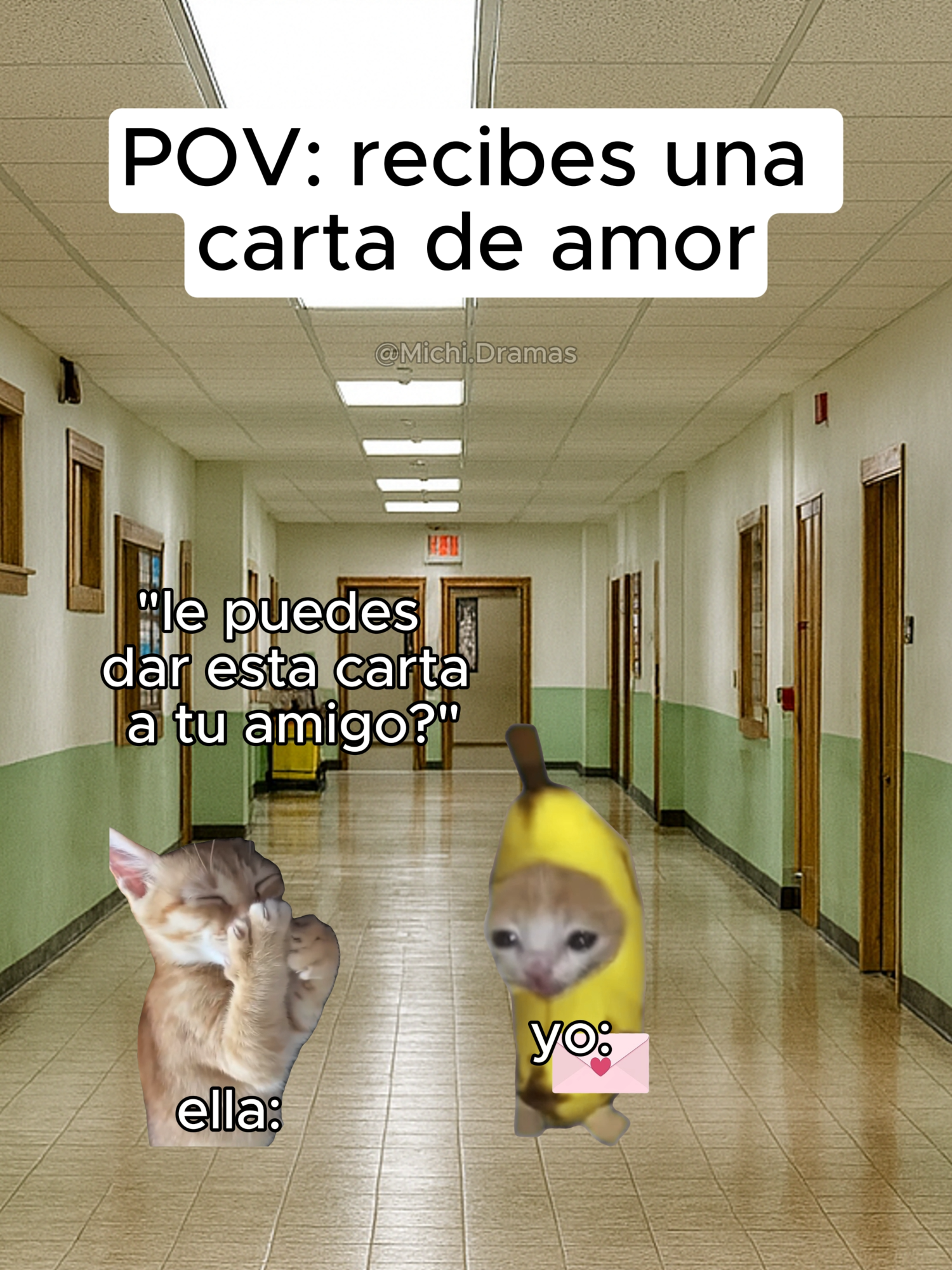 POV: Cuando recibias una carta de amor😳😳 #catmeme #divertido #gatostiktok #gatos #gatosdetiktok #humor #risas #gatosgraciosos #gatosdivertidos😄 #catsoftiktok #funn #funnytiktok #anecdotas #escuela