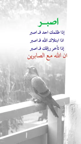 أن الله مع الصابرين #اعادة_النشر🔃 #اكسبلورexplore #حكم_واقوال_وامثال #الصبر 