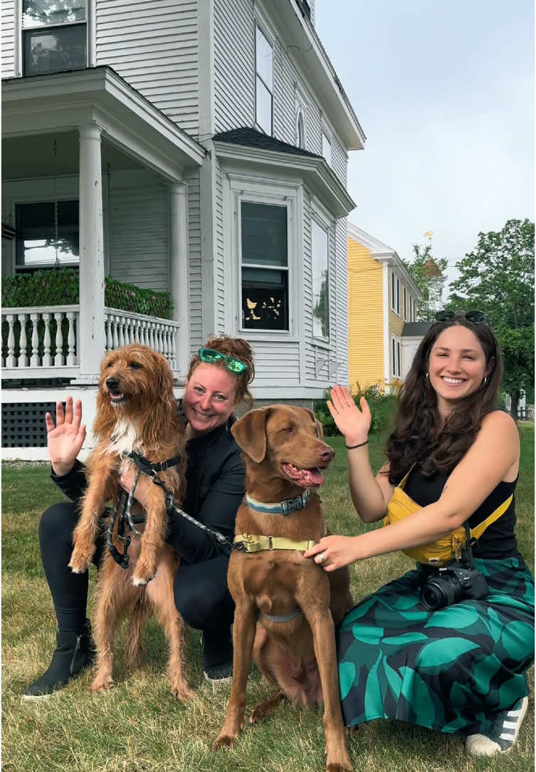 We had so much fun with our friend's over at @Visit Portland  #mainedayventures #kennebunkportmaine #walkingtours #doggywalktime #exploremaine 