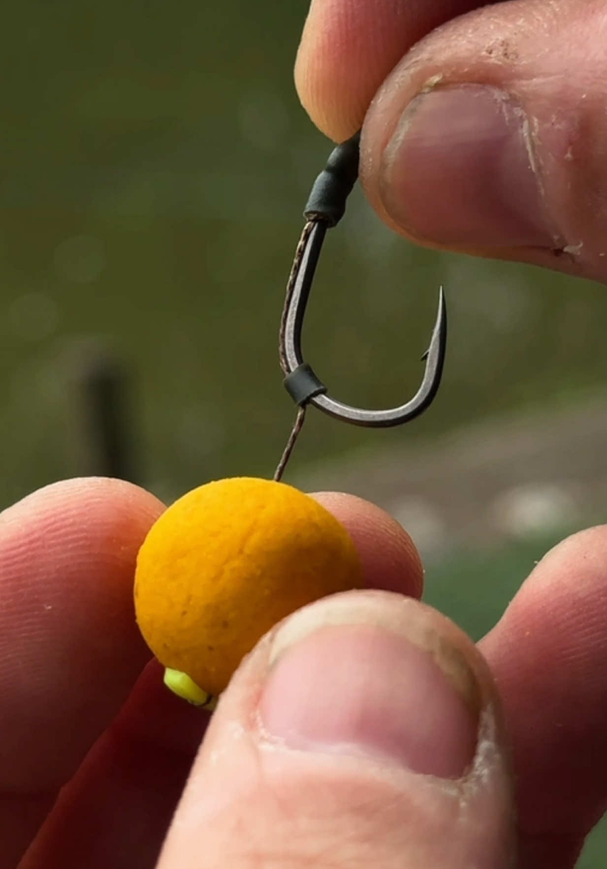 How to attach carp bait to a hair rig #carpfishing @Active Bait Solutions @Solidanglingsolutions #carpbait #carprigs #kentcarpfishing