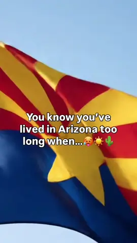 Arizona Habits That Should Honestly Be in a Handbook for New Residents 👇 1️⃣ Carrying a water bottle like it’s an emotional support animal. You don’t leave home without it, not for errands, not even to grab the mail. Dehydration hits different when it’s 110°+. 2️⃣ Knowing better than to hike mid-day in summer. It doesn’t matter how “fit” you are…if it’s 110°, the trail is closed (or it should be). Every summer, people get seriously hurt or worse. Go at sunrise, or wait for summer to pass. 3️⃣ Only doing laundry after 7PM. APS and SRP hike up rates during the day, so laundry after dark = survival. 4️⃣ Wearing sandals year-round. Yes, even with jeans. Yes, even in December. We never truly say goodbye to flip-flop season. 5️⃣ Sleeping with 3+ fans going. Ceiling fan, AC, tower fan… all must stay on. Otherwise, good luck surviving summer nights. PRO TIP: Invest in a cooling blanket if you don’t have one. IYKYK 6️⃣ Driving 85 on the 202 like it’s NASCAR. The posted speed limit is a suggestion. If you’re going the speed limit, prepare for a tailgater. 7️⃣ Waking up at 5AM just to function If you’re not walking the dog or grocery shopping at sunrise, you’re doing it wrong (and sweating by 9AM). 8️⃣ Avoiding patios all summer. We love a good patio… until May. Then it’s cold brews indoors only. 9️⃣ Checking your seatbelt buckle before touching it. Touch it without looking and you’ll brand yourself. Once is all it takes to learn. 🔟 Owning 47 pairs of sunglasses. One in every car, bag, drawer. UV rays here are no joke (National Weather Service Phoenix). What’s your most unbreakable Arizona habit? 👇🏼 Drop it in the comments — no judgment 😂 Comment RELOCATE for my free Arizona Relocation Guide and I’ll send it straight to your inbox. And tag a fellow desert dweller who lives by at least 3 of these! If you’re new here, 👋 Hi, I’m Kelly , a Gilbert Mom, local Realtor®, and your Arizona Tour Guide. Follow me — I’ll help you feel at home here.