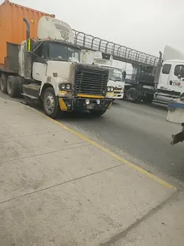 cuánto años crees que tenga ese Makc??? 
