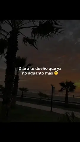 Dile a tu Dueño Que ya no aguanto más 🤭🙈🍓#777 #salsaparadedicar #salsabaul #salsaparaestados #salsaparavenezolanos🇻🇪❤💃🏻🕺🏼 #tiktokviral #maeloruiz #salsaparaamantes 
