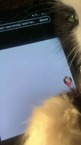 #sparks i love this song #dakota #sparks #coldplay #cat #fyp #goviral #version @coldplay @🤭 @mila | SAW SKZ !! 