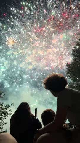 🕊️