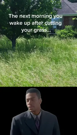 Man you gotta cut your grass everyday of the week to keep it low 😂😂😂 #fyp #capcut #fypシ 