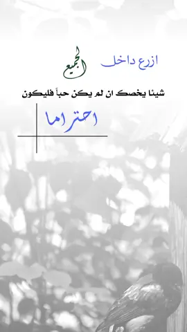 #اكسبلورر 