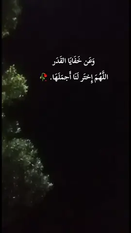 وعن خفايا القدر.  اللهم اختر لنا أﺟملها #اللهم_اختر_لي_ما_تراه_خيراً_لي #اللهم #تصويري📸 #اكسبلور #fypシ゚ #explorer #قطط 