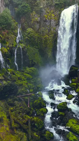 Wandering through the lush green forests of the Pacific Northwest, you stumble upon waterfalls that feel like a dream—surrounded by peace, serenity, and the quiet magic of nature. #waterfalls #pacificnorthwest #pnw #beautifuldestinations #waterfalllovers #nature #pnwphotography #pnwexplored 