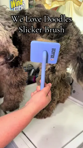 You cant own a long haired dog breed and NOT have one of these slicker brushes! #welovedoodles #slickerbrush #doggrooming #dogbrushing 