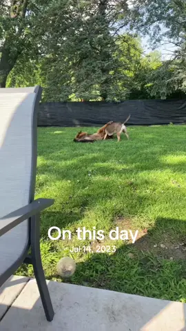 #onthisday 