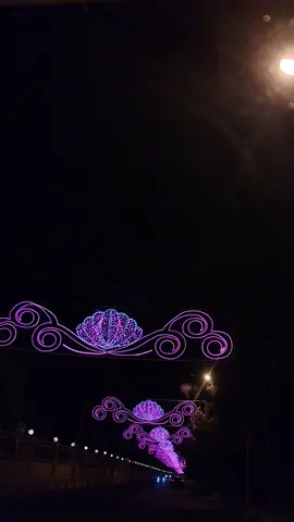 #غابات_الموصل  #شارع_العشاق 