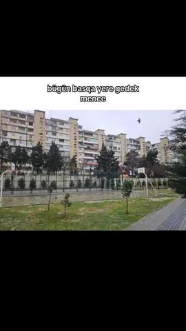 😂😂😂 #keşfet #kesfet #keşfetteyizzz #kesfetteyiz #kesfetbeniöneçıkart #keepsupporting #fyp #fypシ゚viral #рекомендации #gunesli #guneshli 