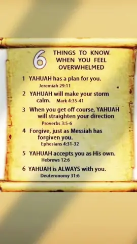🎺ALL PRAISES TO THE MOST HIGH YAHUAH, FROM WHOM ALL BARAKAH AND BENEFITS FLOW.🦁🐑🔥🌾🤴🏾💚