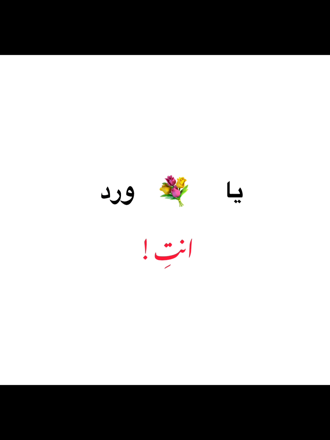 يا باقة ورد انتي 🥹🥹🫵🏻🌷💐.  .  .  .  .  .  .  .  #ماجد_المهندس #viral #explore #foryou #fyp 