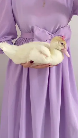 🎀💌✨🥹بتته