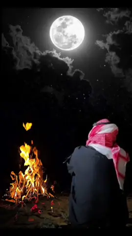 #شعراء_الجنوب #شعراء_وذواقين_الشعر_الشعبي🎸 #شعراء 