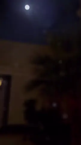 #CapCut #‏وش فيك يالصدر الشمالي تضايقت ‏والناس تضرب في سعـتك المثايل ‏افا يا صدري ضقت من جاير الوقت ‏خابرك ياصدري  تشيل الثـقايل ‏وش فـيك علمني لـك ايـام ما رقـت  ‏ضايق وفيك من الهم صايل وجايل ‏خابـرك ما عمرك للأحـزان رافـقت  ‏واليوم كنّك شايل . . جبال حايـل .#اكسبلورexplore #خواطر #تصويري_احترافي_الاجواء👌🏻🕊😴 #bts #capcut #bts 