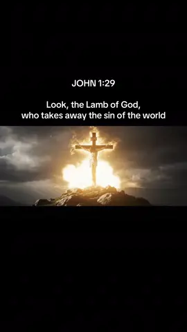 LOOK the LAMB of GOD who takes away the SIN of the WORLD #SAVIOR #JESUS #LORD #christiantiktok #GOD 