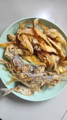 paling enak  #sayurasem  #ikanasin  #sambalterasi 