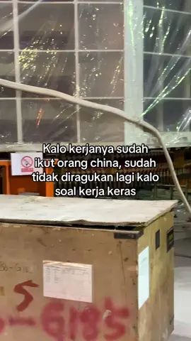 Meo cien meo young#perintismuda #storykuli #kuliproyek👷🏼 #saftey #powerhouse #helemkuning #lewatberanda #4u 