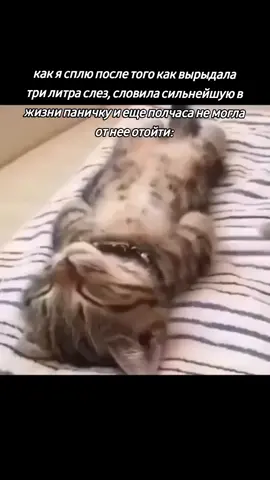 вырвалось #огосподибоже #мяу #relatable 