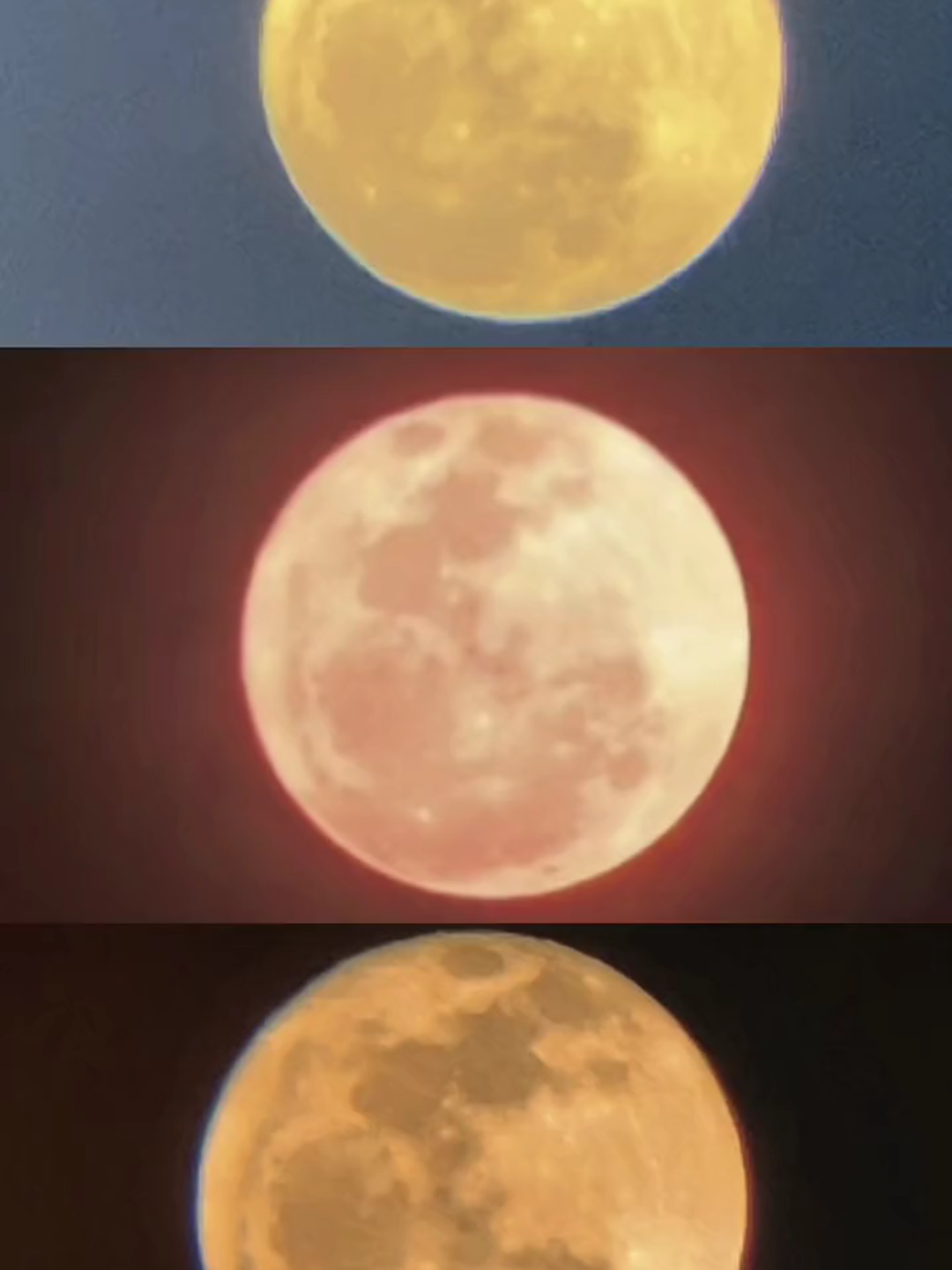 Beberapa fenomena BULAN PURNAMA yg berhasil aku abadikan 🌕#harvestmoon #Strawberrymoon #buckmoon #astronomi #fyp