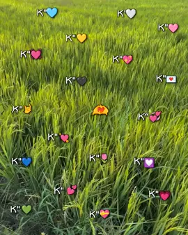 ရပီနော်🫶 #k #fypシ゚viral #foryoupage #foryou #myanmartiktok 