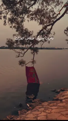 ناحت عليك ضفاف الفرات #trend 