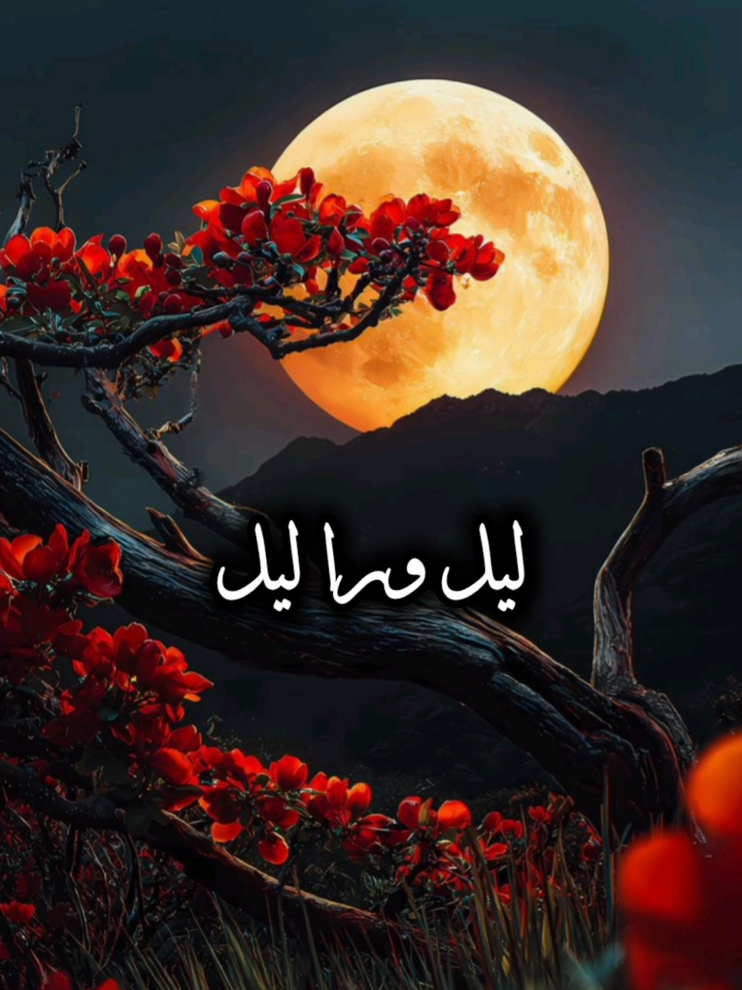 جرحتني حيل #تصميمي_ابوشوق🌹 #متعب_الفهادي #جرحتني_حيل😔 #viral #foryou #trending #fyp #aboshoj 