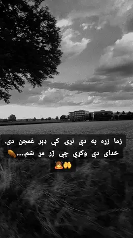 زما زړه په دې نړۍ کې ډېر غمجن دی. خدای دې وکړي چې ژر مړ شم.⚰️🤲😭🙇