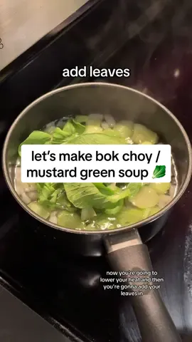 Replying to @Elissa Sch. tutorial/cooking video is here!! thank you so much for your patience and love 🫶 and you can pretty much use these steps for any veggies soup too!  note: (1) i like my soup really clear so i don’t use extra meat like ground pork/beef or shrimps, but you can totally add them in for a richer flavor! (2) if you like ginger, you can add them in along with the veggies too for an extra kick! i don’t like ginger so i didn’t use it 🙈 #bokchoysoup #mustardgreensoup #canhcaithia #canhraucai #vietnamesesoup #souplovers #souprecipe #happycooking 