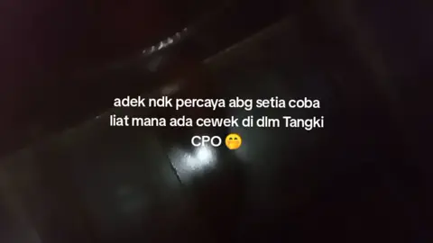 apa isinya 🤭#kalimantanbarat #hino500 #cpo #cpobalap #bmptransport #bmp191 #ptbangunmelawipersada #bmp #kalbar #cpokalbar 