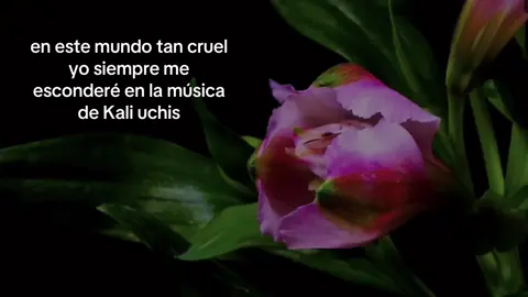 #CapCut #kaliuchis 