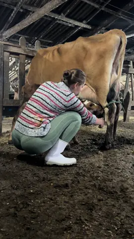 O agro não para 