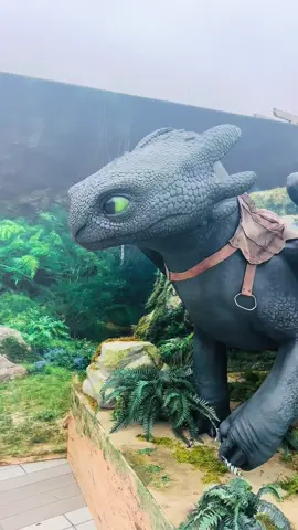 En cuanto#dragon #animalito #cuantocuesta 