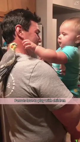 part14：Parrots love children.#foryou #baby #happy #titok #Love #funny #parrot