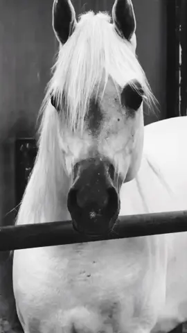 #💔 #ماشاءالله_تبارك_الله🧿❤️ 