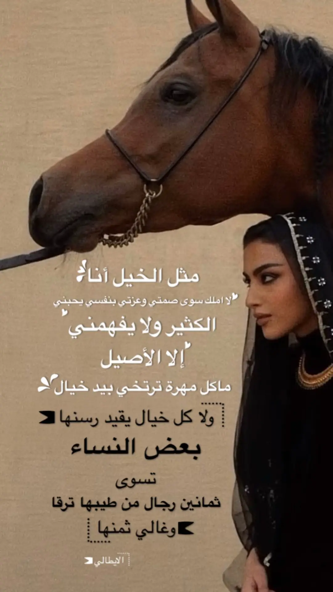 #أكسبلور 