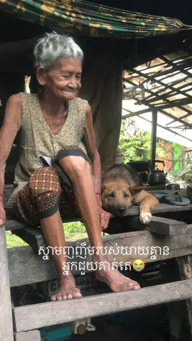 #សុំជូយបងបងអើយ🙏🙏🙏🙏🙏🙏🙏 #ខេត្ដព្រះវិហារស្រុកជាំក្សាន្ដ💖💝 @ទ្រី ដាណា Dana Try 😭😭😭😭😭😭🙏🙏🙏🙏