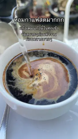 #มะรุมกาแฟดํา #มะรุมกาแฟดําออนเฮิร์บ #มะรุมกาแฟ #กาแฟ #เบาหวาน 