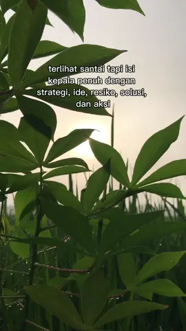 Petani🧑🏻‍🌾🧑🏻‍🌾✋✋ #petaniindonesia🇮🇩🇮🇩🇮🇩🌿🌿 #fyp #petanimuda #petanimilenial #petani #kampung #petanisukses 