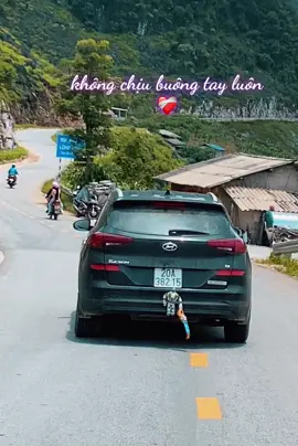 Buông bỏ là  mất đấy hẹ hẹ🤭…
