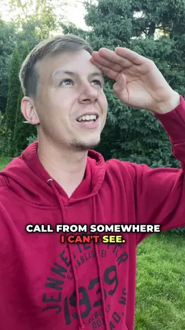 If bird sounds in movies were accurate 🦅 #birds #birding #skits #movies songs by Jonathon Jongsma (CC by 3.0), horror music by Kevin MacLeod (CC by 3.0) 