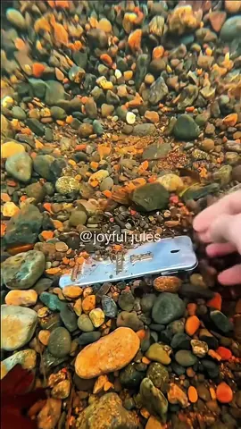 #scubadiving #satifyingvideo #asmrtingles #asmrsounds #asmrtiktoks #satisfying #satisfy #asmr