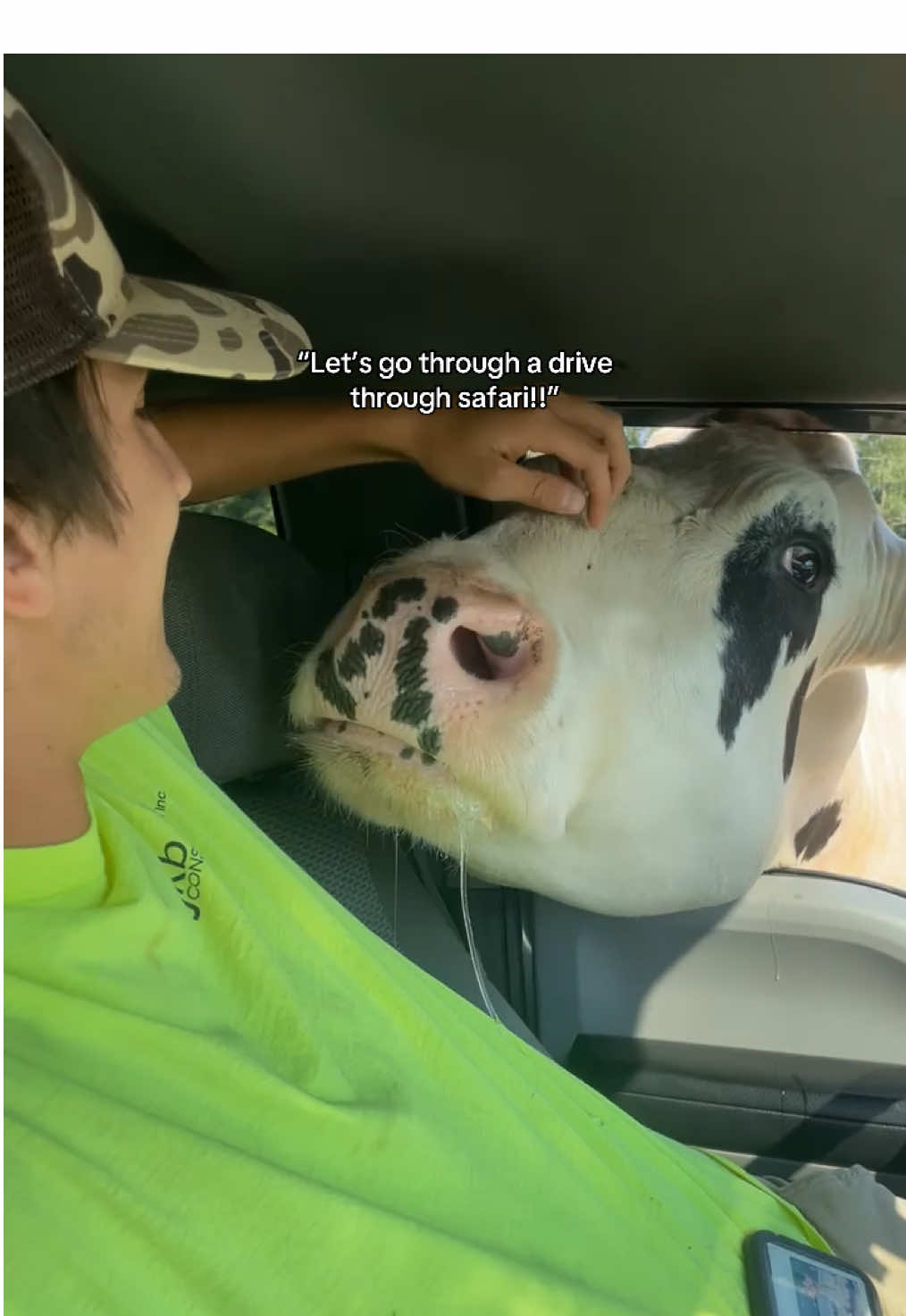 Covered in cow drool how cute 😂 #drivethrusafari 