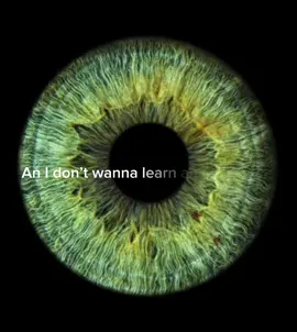 Green eyes with @sombr songs (I love him) //#ex #exlover #fyp #fup #exgirlfriend #iloveyou #neverleave #please #eyes #trend #iris #anotherman #sombr #muisc #icon #Love #green#greeneyes#colour #iloveit #sombr 